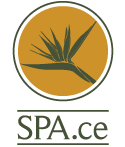 Space the Spa Space the Spa