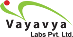 Vayavy Labs Vayavy Labs