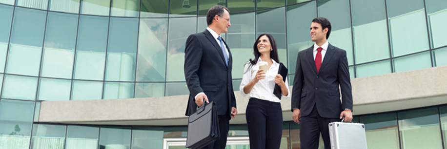 <div style='text-align:left; padding-left:20px;'><span style='font-size:24px; font-weight:normal'>Consulting Services</span><br/><span style='font-weight:normal'>End to end consultation on your IT, Staffing, Accounting and Payroll needs. which is crucial for your business.</span>